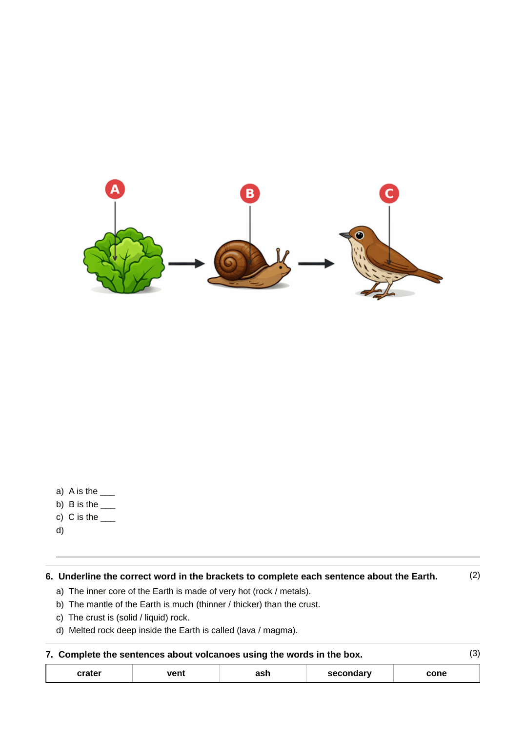 A full generated Stage 4 Science assignment covering energy, food chains, the Earth's structure, volcanoes, earthquakes, habitats, light and reflection, and the Earth and Sun — page 4