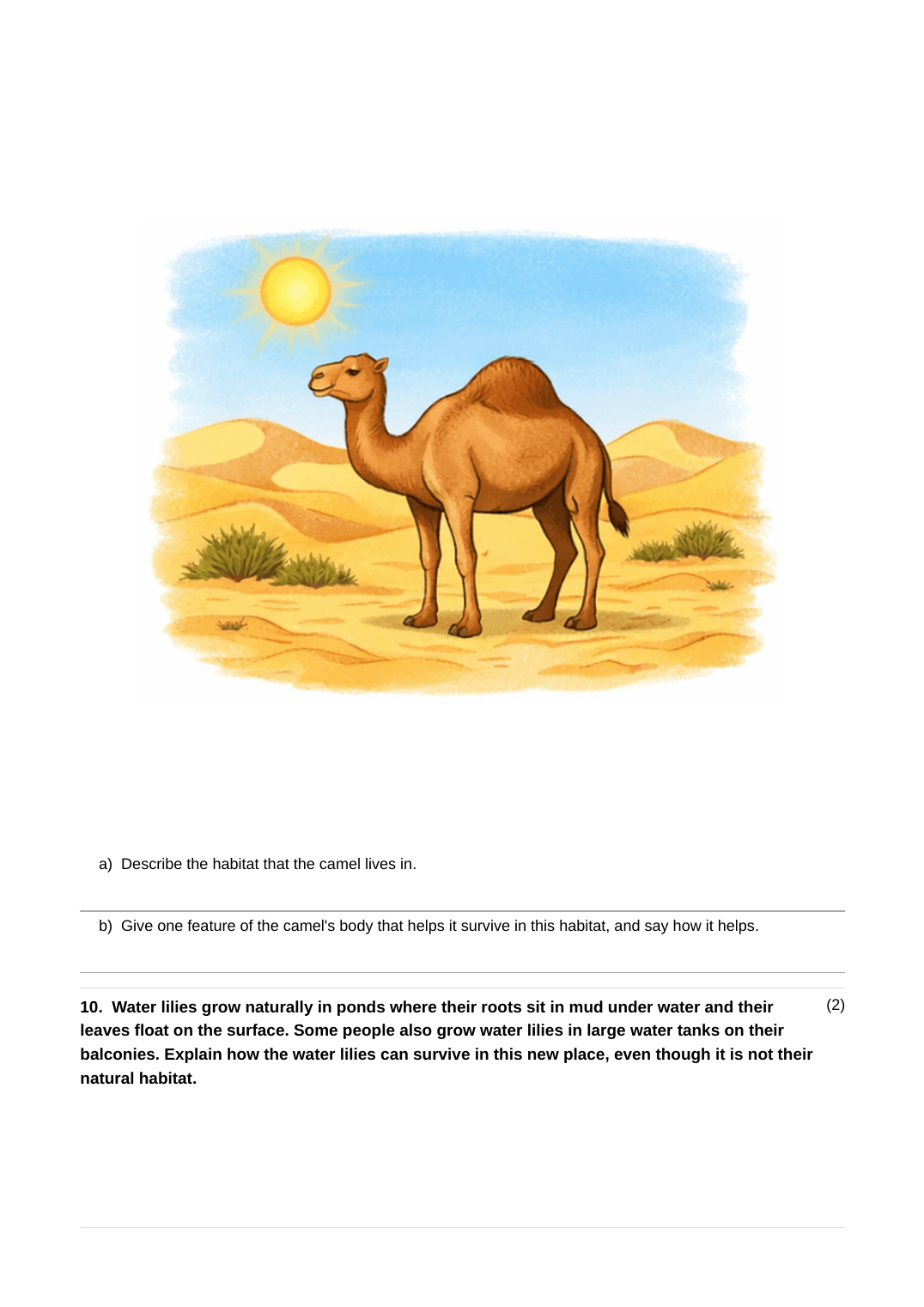 A full generated Stage 4 Science assignment covering energy, food chains, the Earth's structure, volcanoes, earthquakes, habitats, light and reflection, and the Earth and Sun — page 6